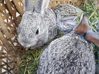 《绝地求生》续作即将公布，多平台登陆成趋势